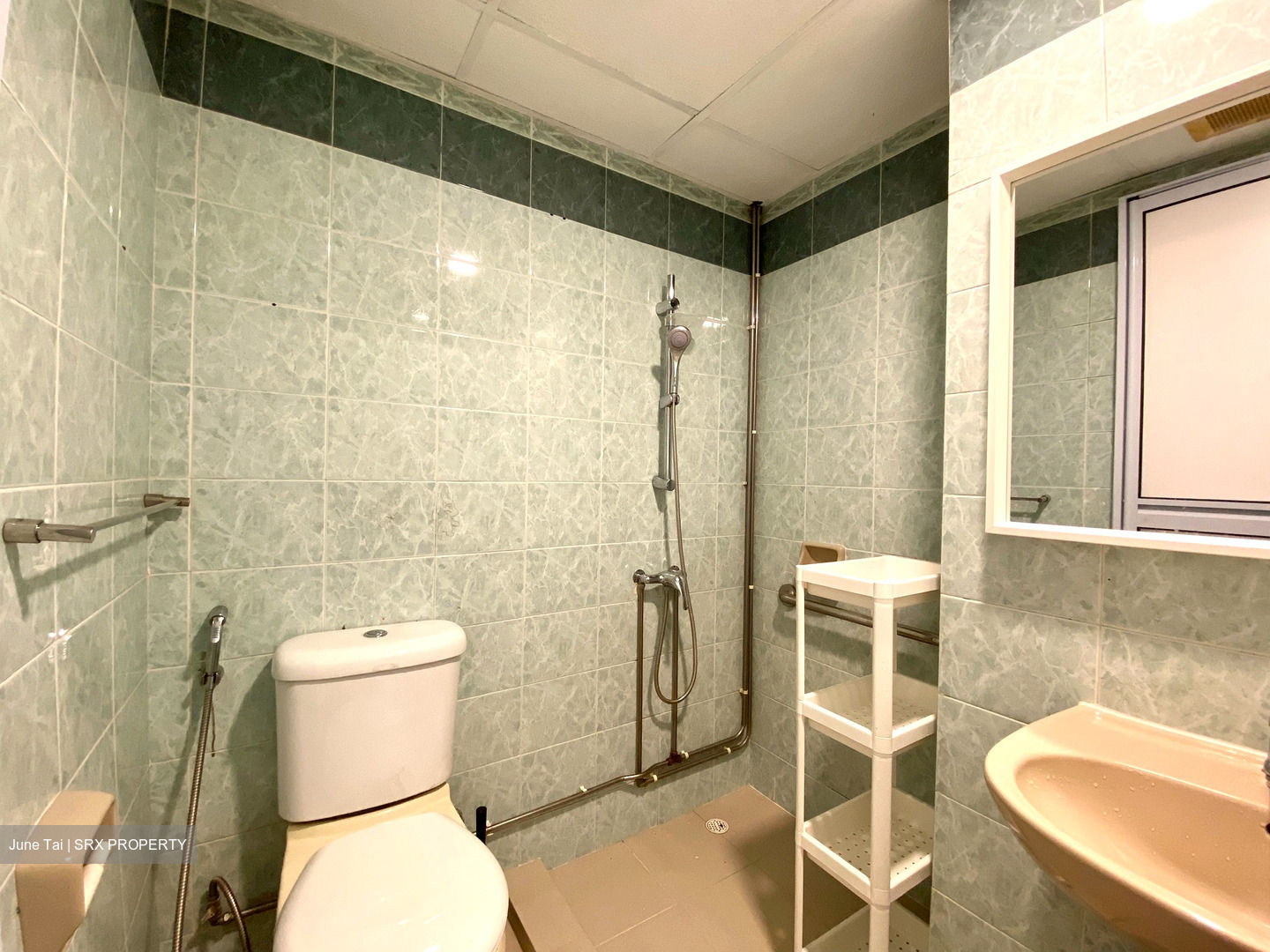 Central Green Condominium (D3), Condominium #537917941